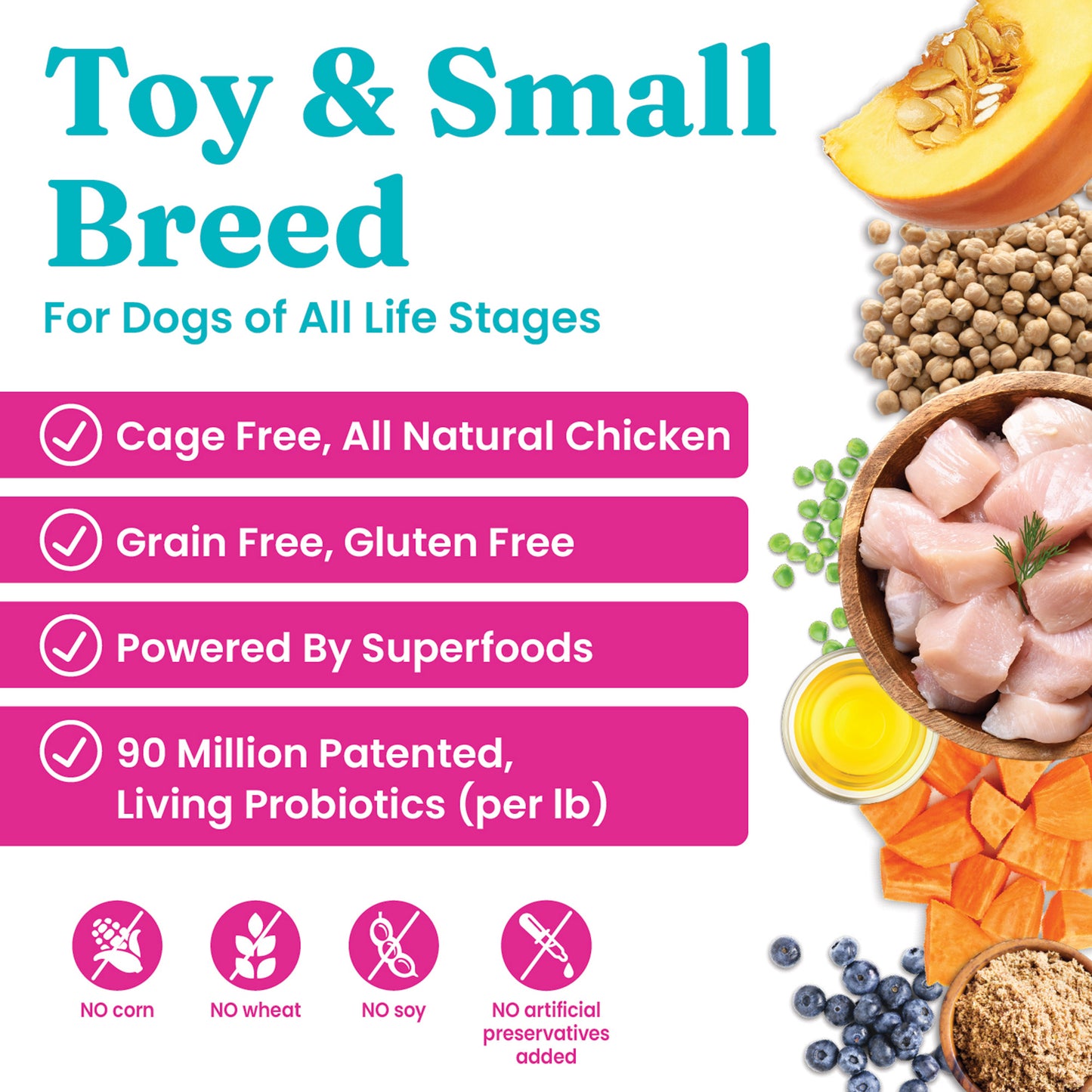 Solid Gold - Nutrient Boost Mighty Mini Chicken