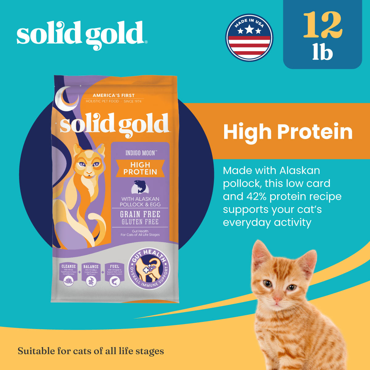 Solid Gold- Indigo Moon
