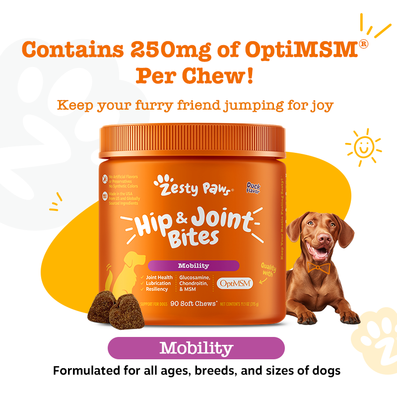 Hip & Joint Bites