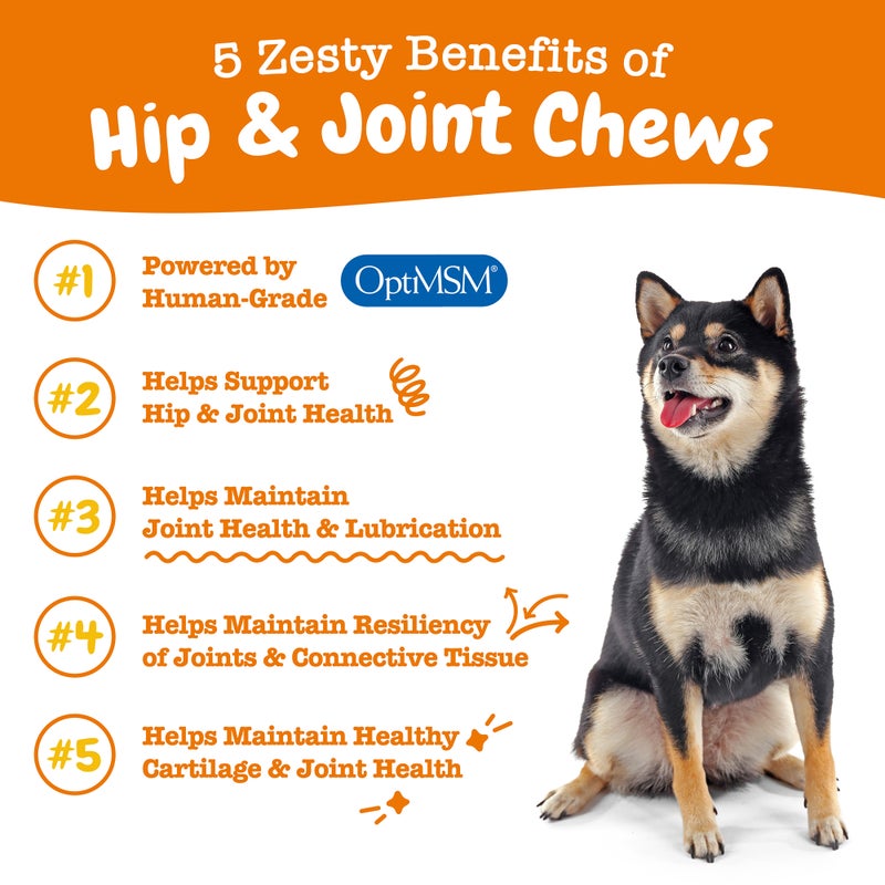 Hip & Joint Bites