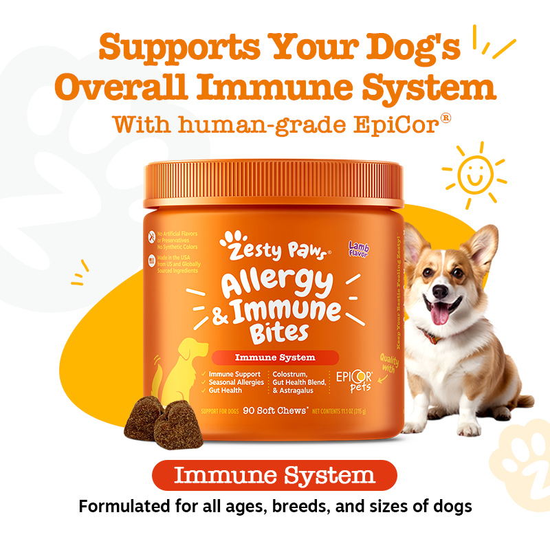 Allergy & Immunity Bites