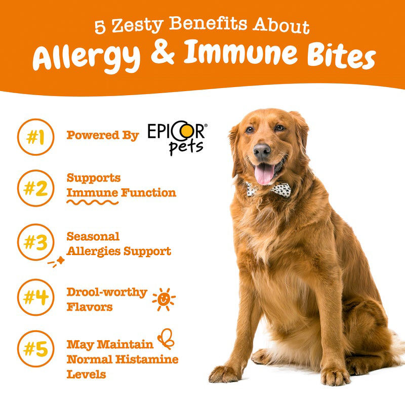 Allergy & Immunity Bites