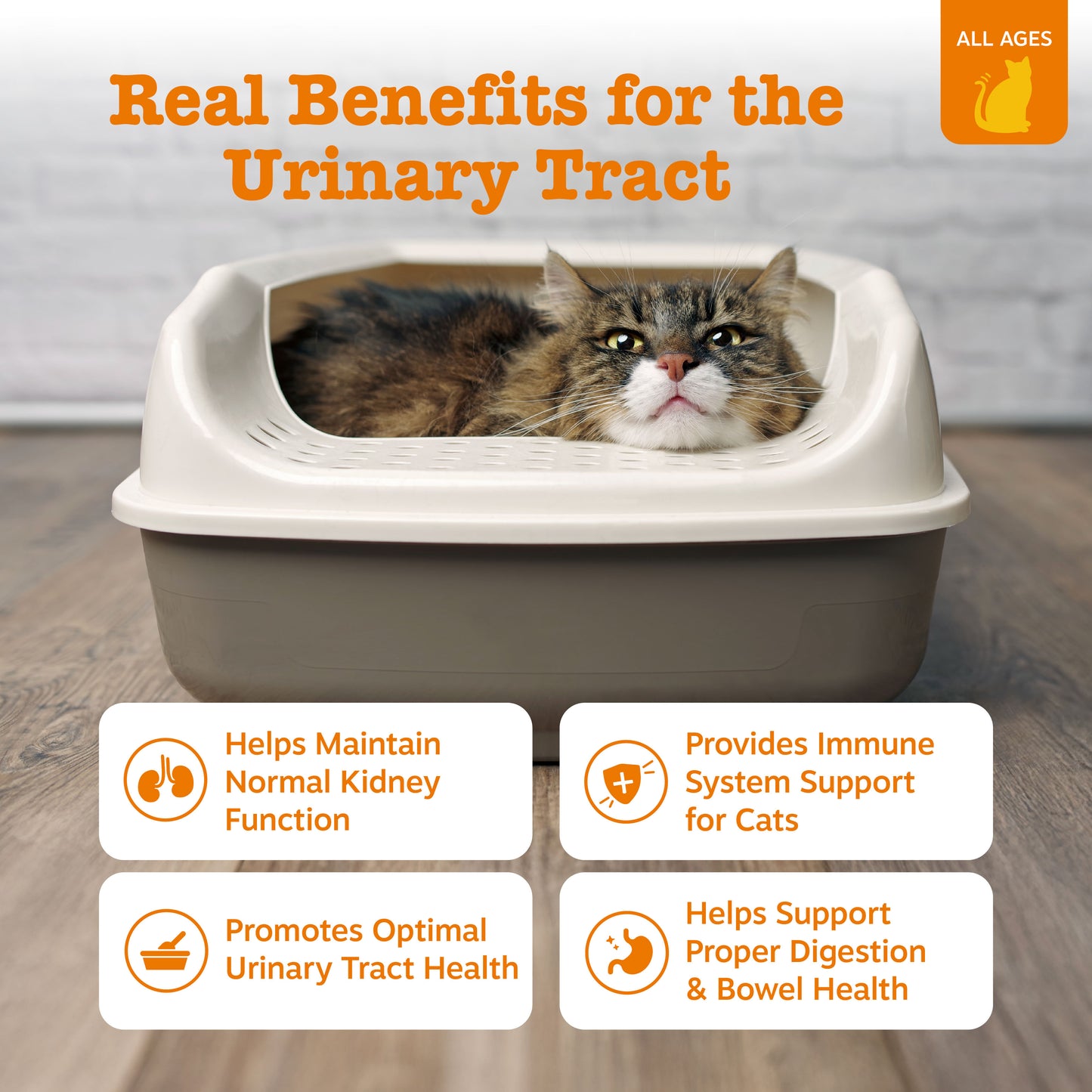 Zesty Paws Cat Mousse Urinary Tract, Chicken, 14ct Pouch