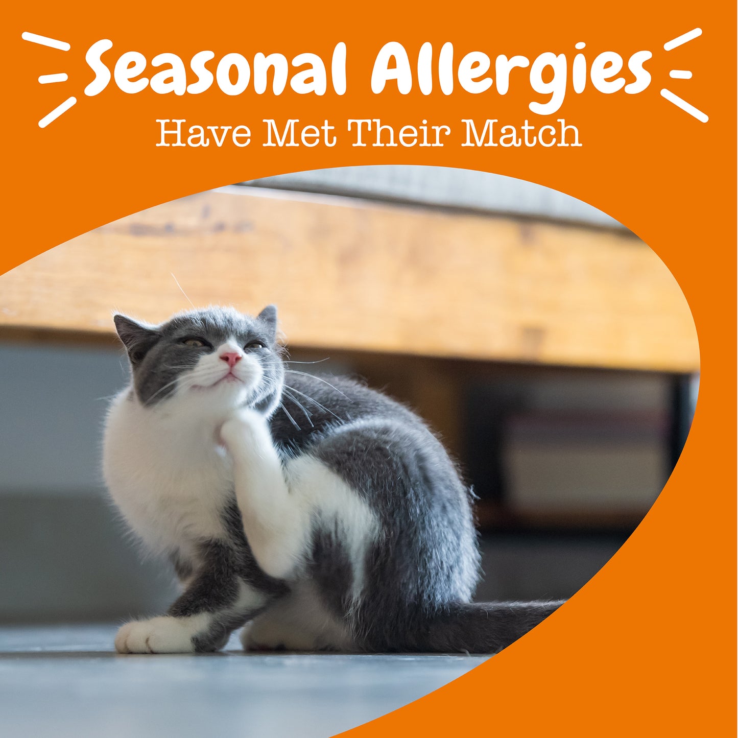Zesty Paws Cat Mousse Allergy & Immune, Chicken, 14ct Pouch