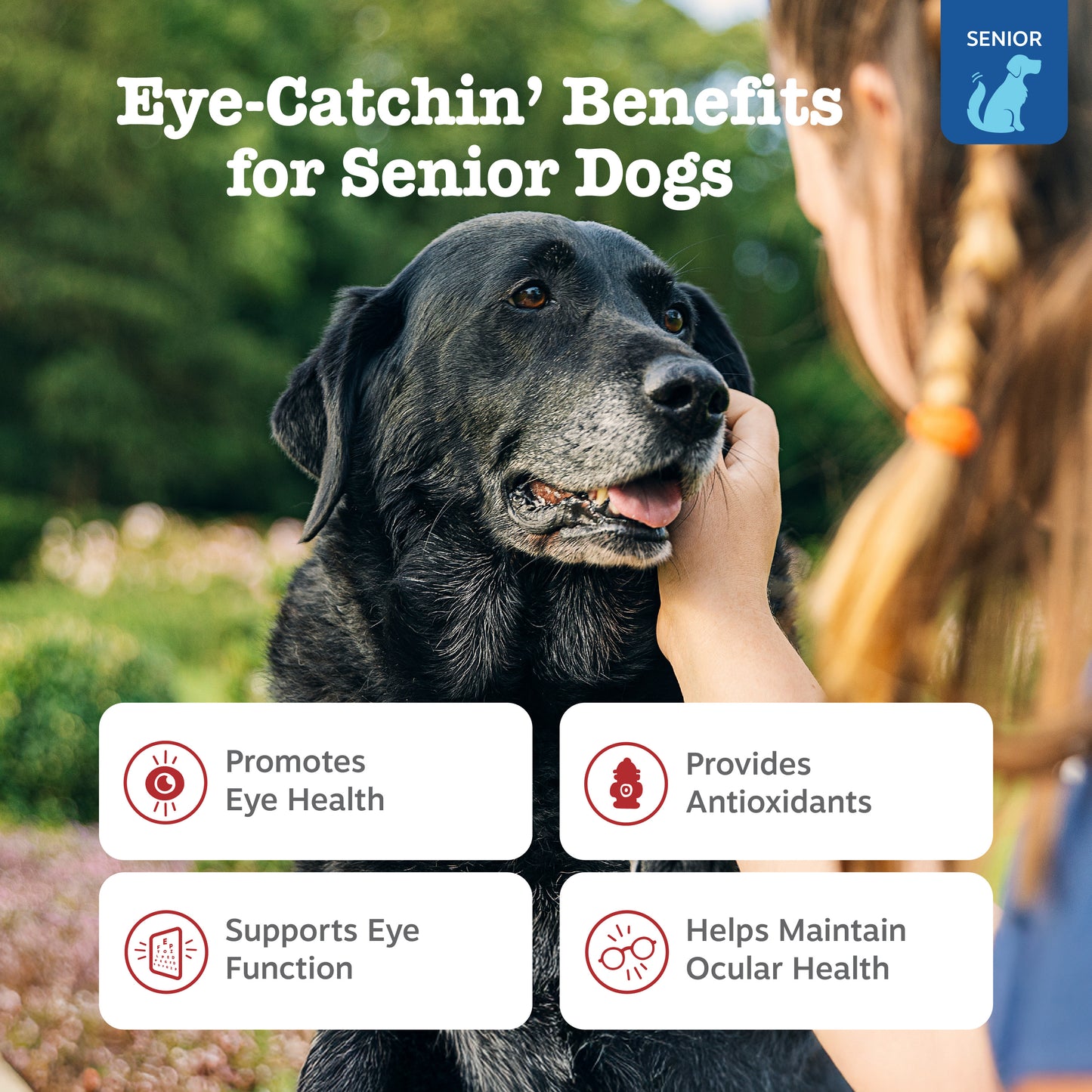 Zesty Paws Senior Advanced Vision Bites (Chicken) for Senior Dogs