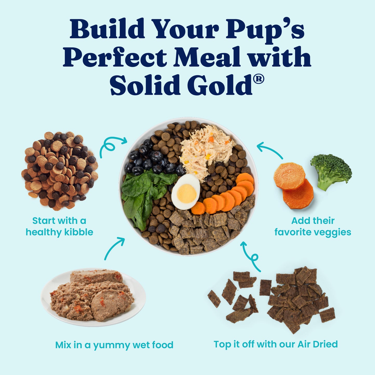 Solid Gold Nutrient Boost Leaping Waters Salmon GF 3.75LB/1.7KG Dog Food
