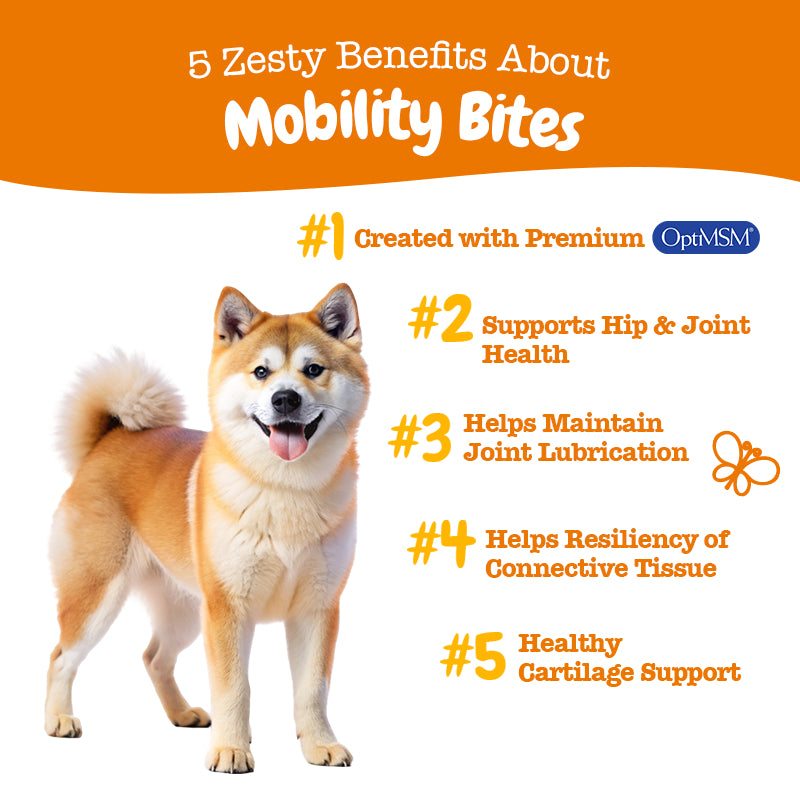 Active Wellness Bundle