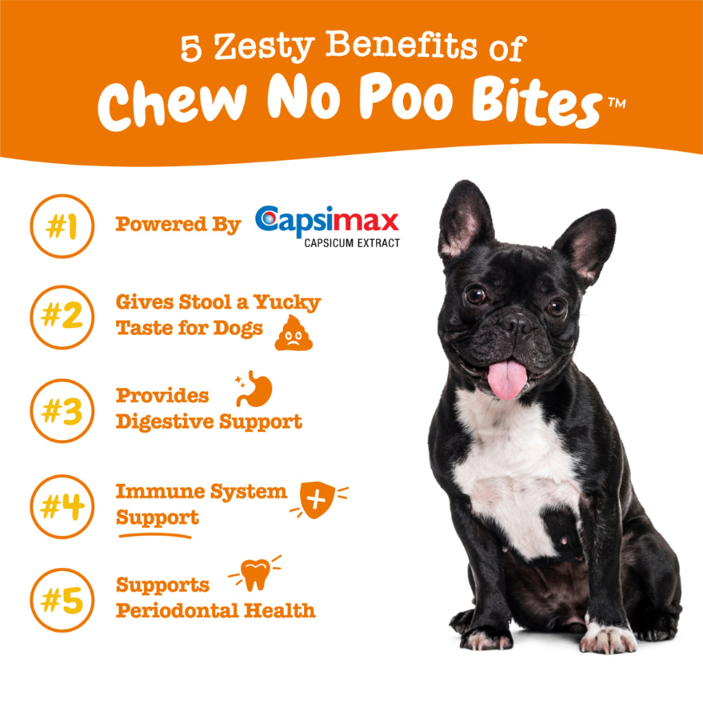 Zesty Paws Chew No Poo Bites (Gut Health) Chicken Flavour Dog Supplements, 90 Soft Chews