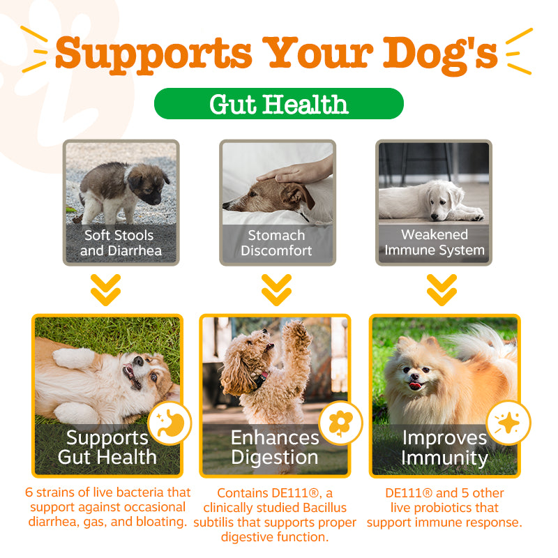 Pawfect Wellness Bundle