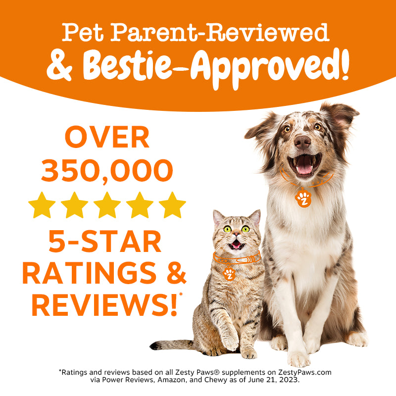 Zesty Paws Season Of Care Bundle for Cats