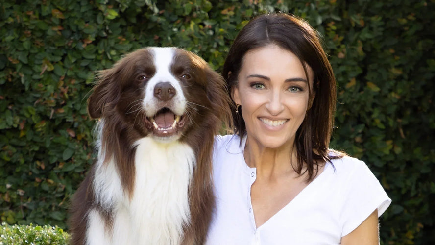 Helping Your Dog Age Well: Early Signs of Joint Pain and What You Can Do