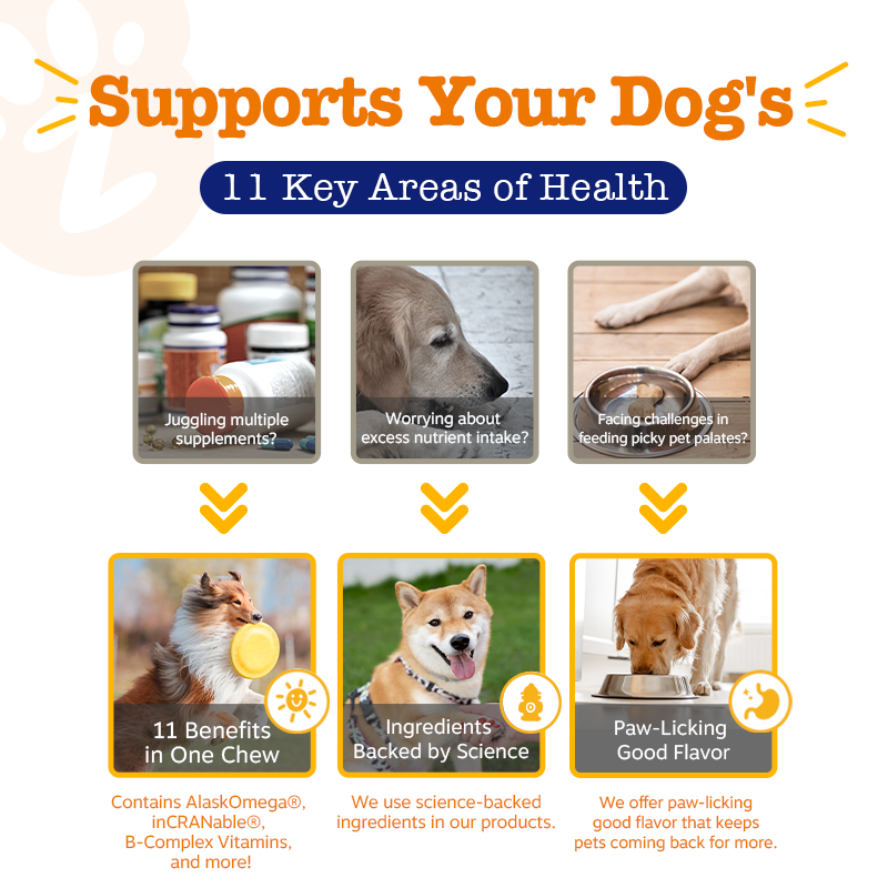 Zesty Paws Senior Longevity Bundle (Senior Adv. Vision/Senior Adv. 11-in-1 Multivitamin Chicken/Beef)