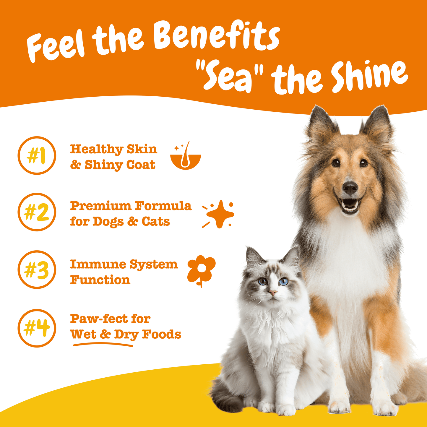 Season Of Care Bundle for Cats (Cat Mousse Allergy & Immune  + Omega Boost)
