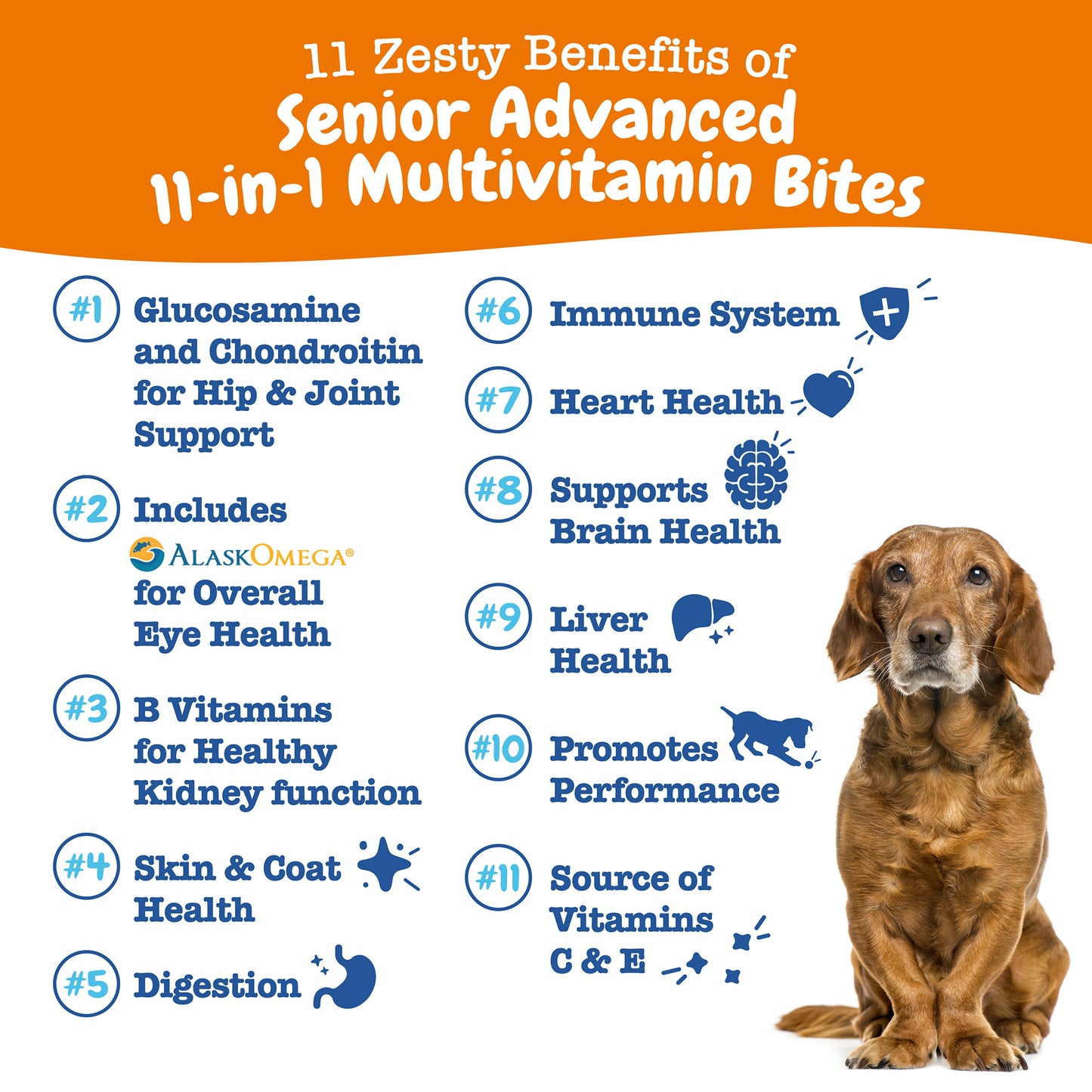 Zesty Paws Senior Longevity Bundle (Senior Adv. Vision/Senior Adv. 11-in-1 Multivitamin Chicken/Beef)