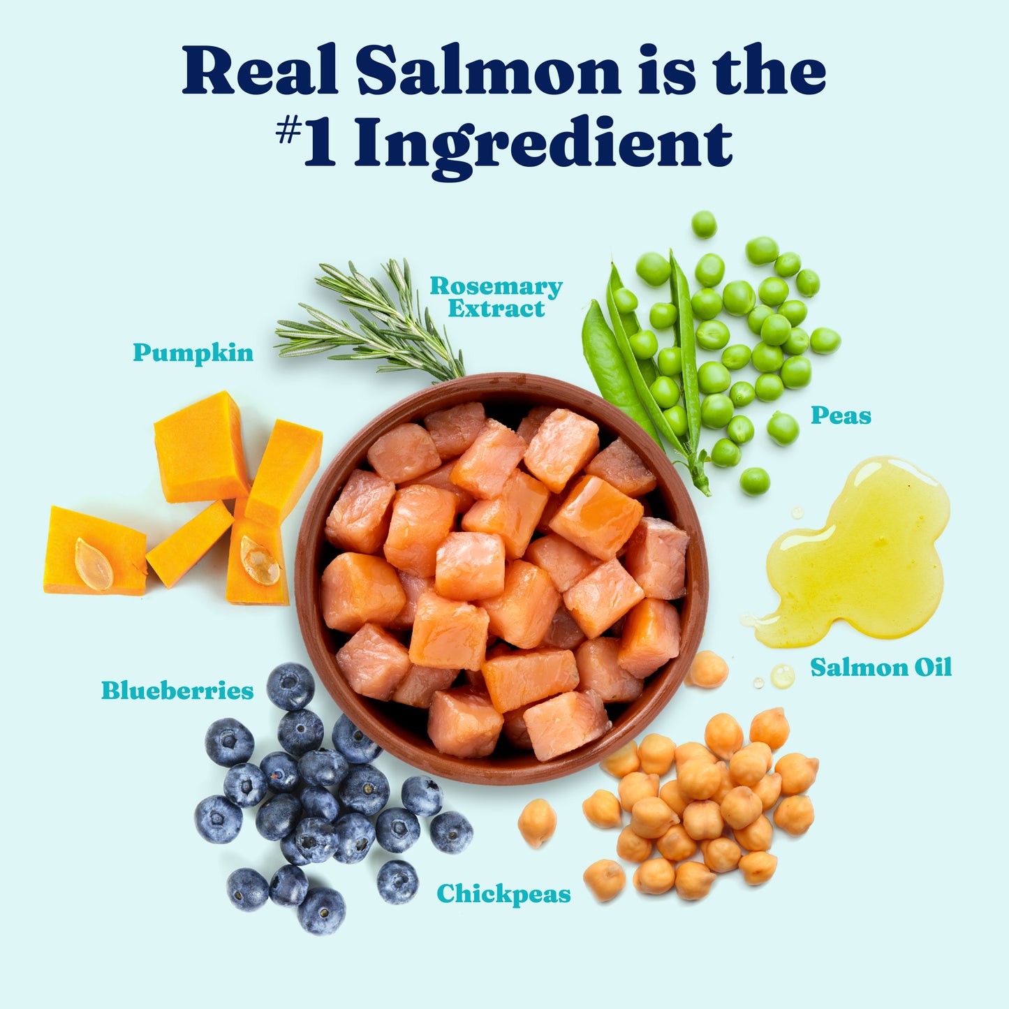Solid Gold Nutrient Boost Leaping Waters Salmon GF 3.75LB/1.7KG Dog Food