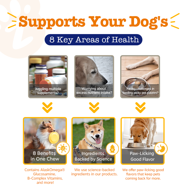 Zesty Paws Trial Pack, 10ct