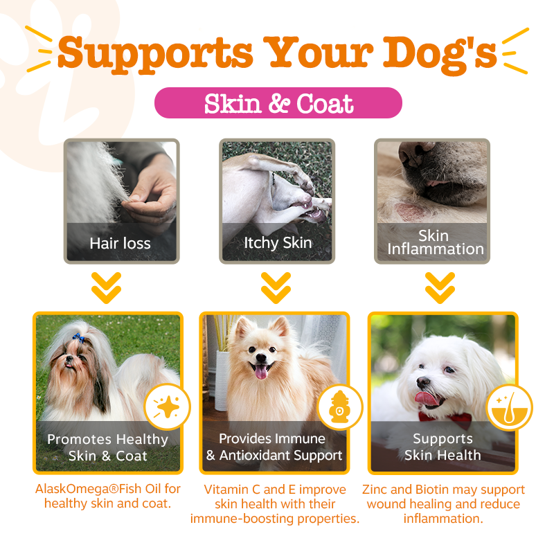 Skin & Coat Bites