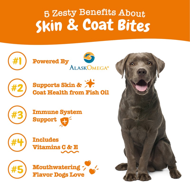 Skin & Coat Bites