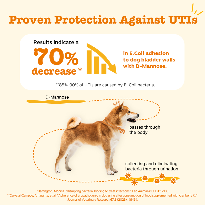 Urinary Tract Bites