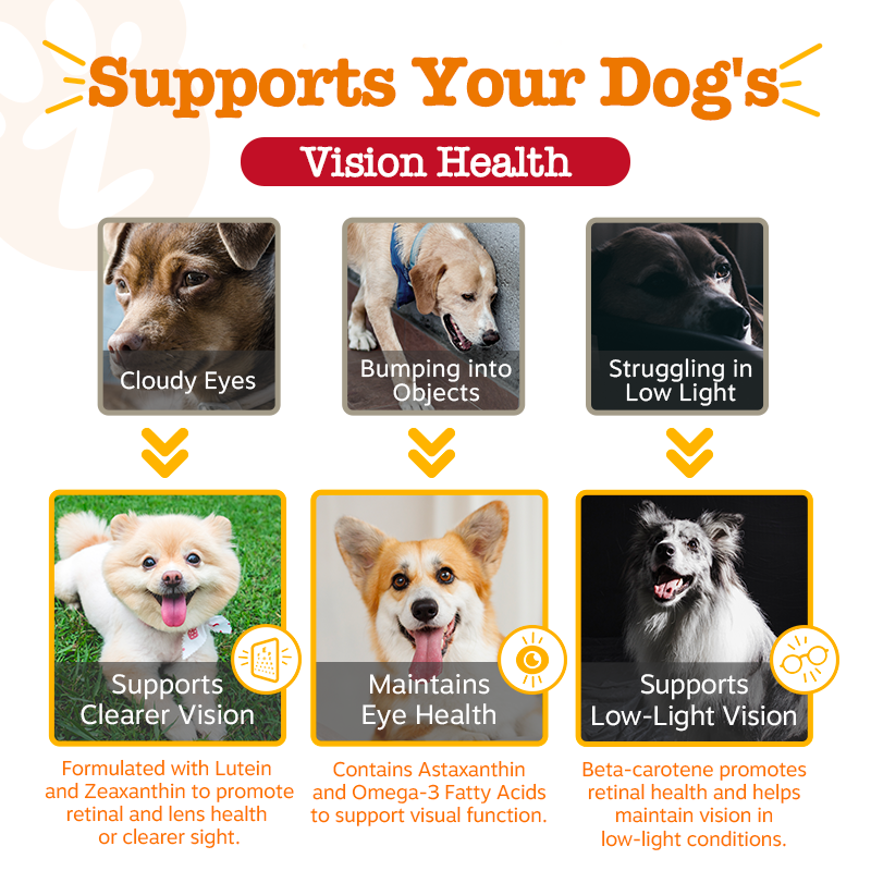 Zesty Paws Senior Longevity Bundle (Senior Adv. Vision/Senior Adv. 11-in-1 Multivitamin Chicken/Beef)