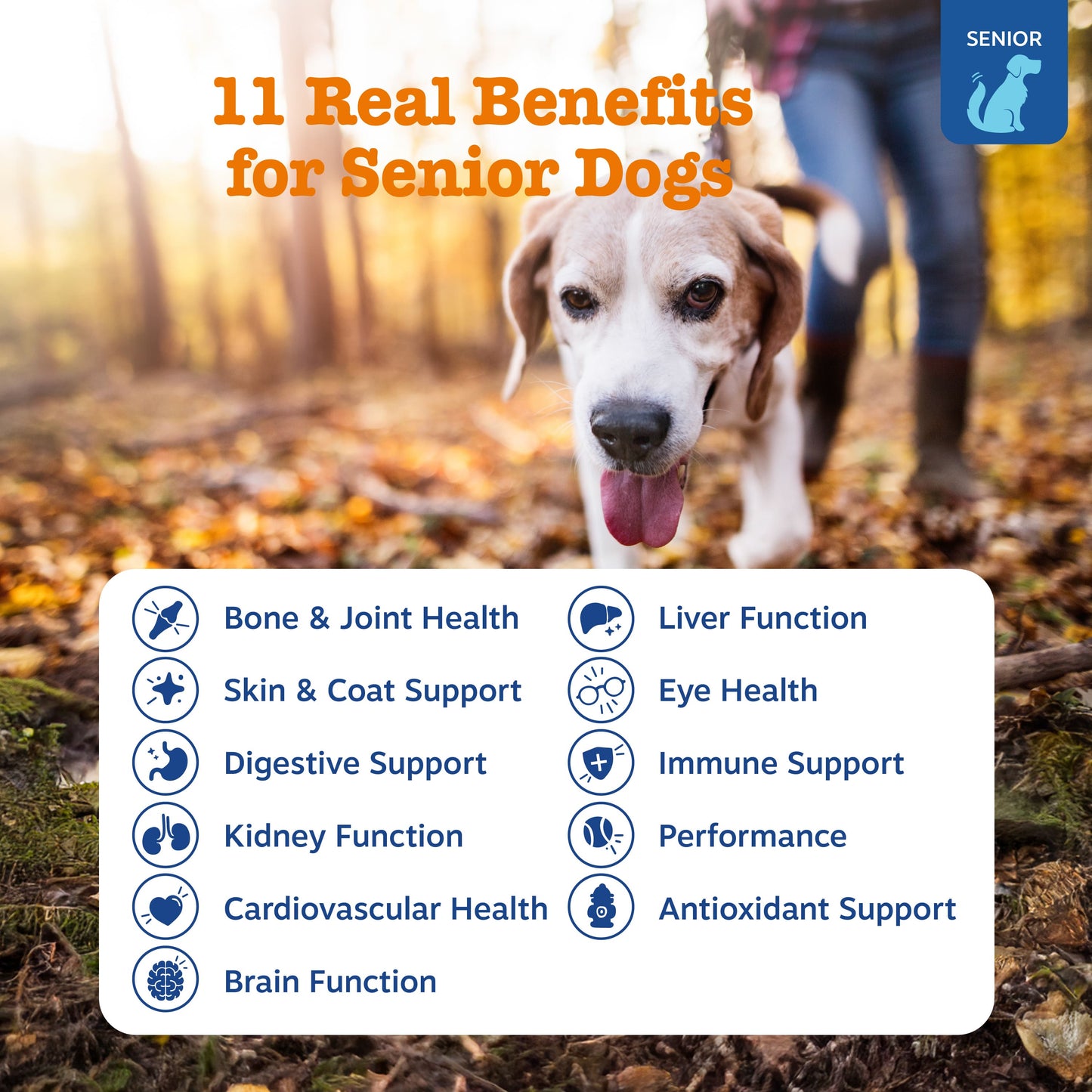 Senior Advanced 11-in-1 Multivitamin Bites
