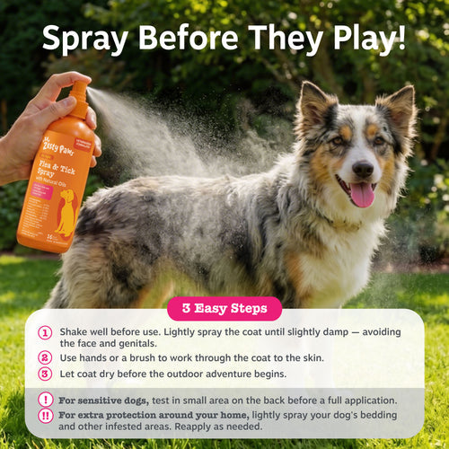 Flea & Tick Spray