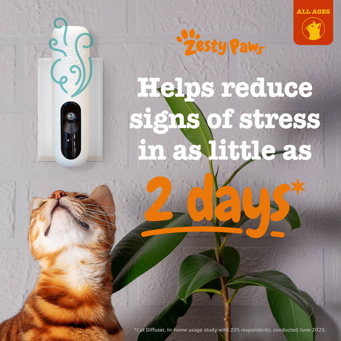 Cat Calming Diffuser Starter Kit