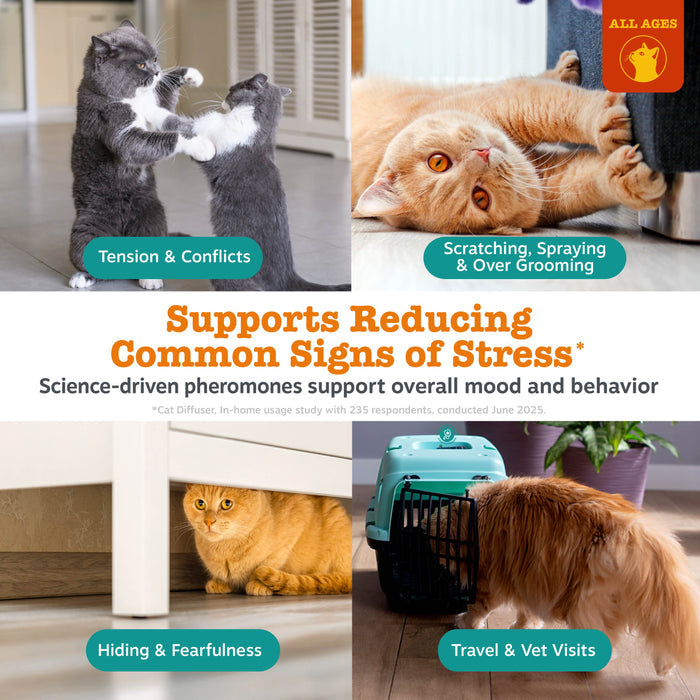 Cat Calming Diffuser Starter Kit
