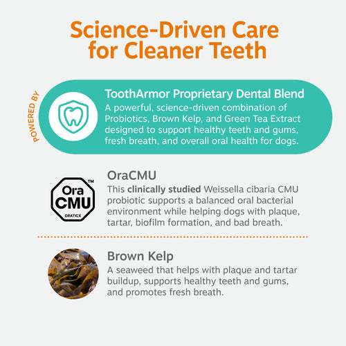 Dental Probiotic Powder