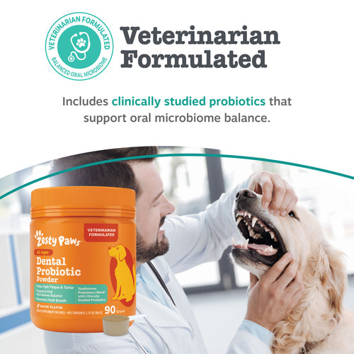 Dental Probiotic Powder