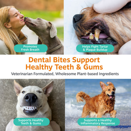 Clean Breath Bites