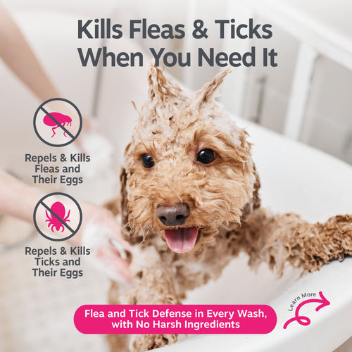 Flea & Tick Shampoo