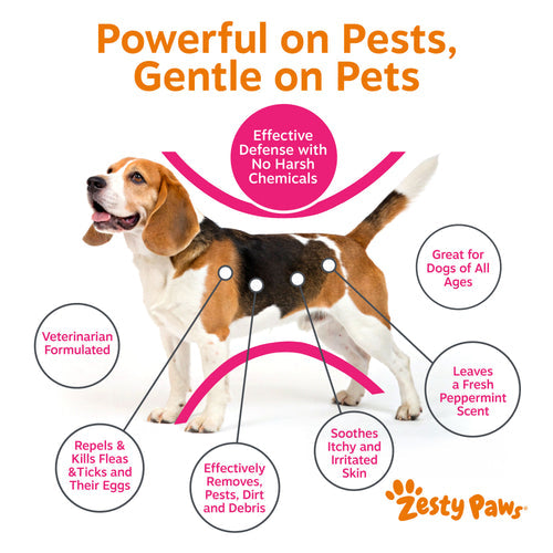Flea & Tick Shampoo