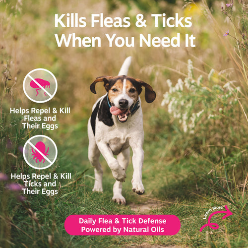 Flea & Tick Spray