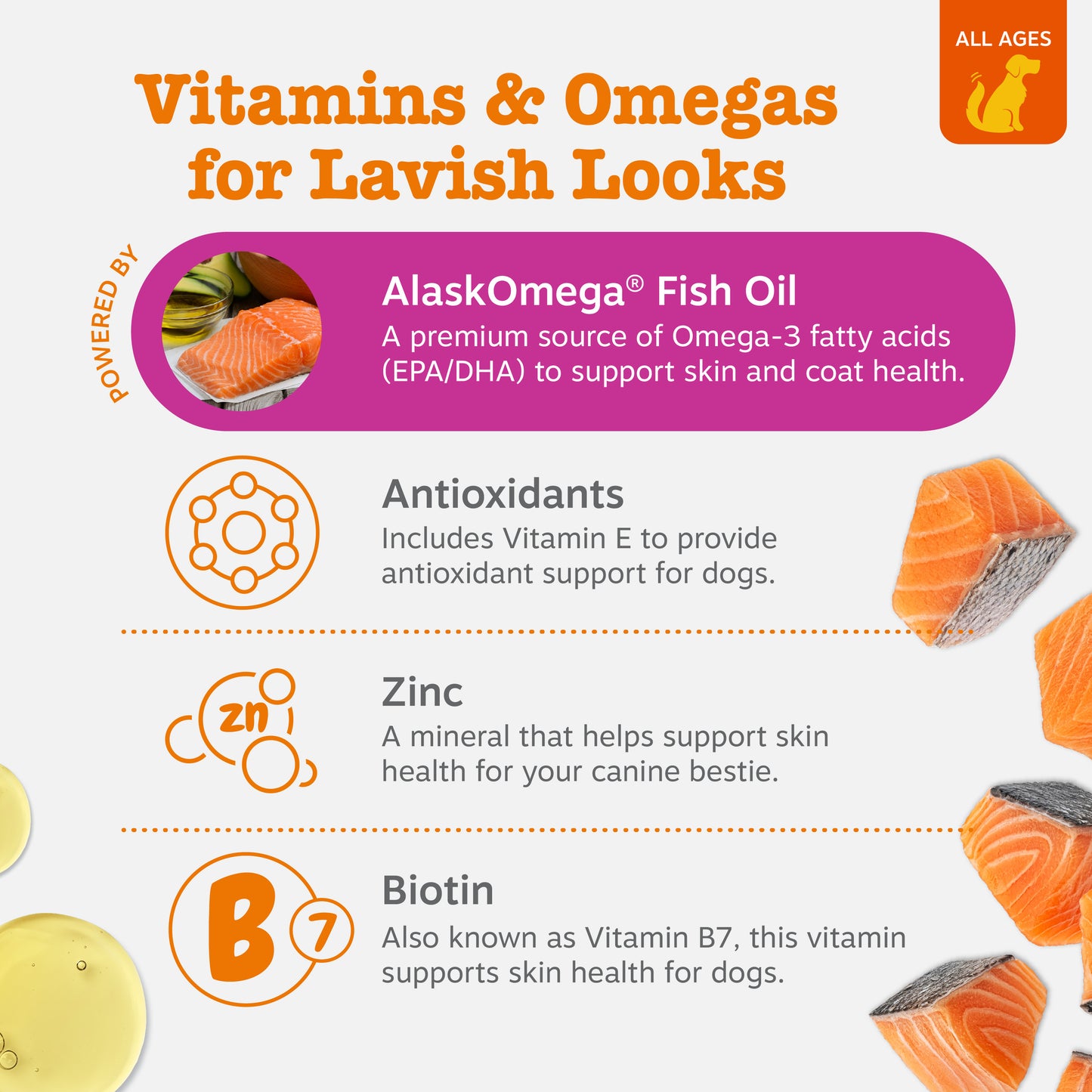 Skin & Coat Bites