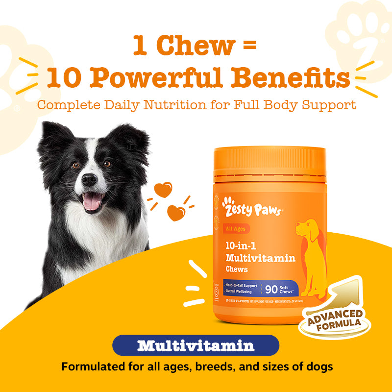 10-in-1 Multivitamin Chews