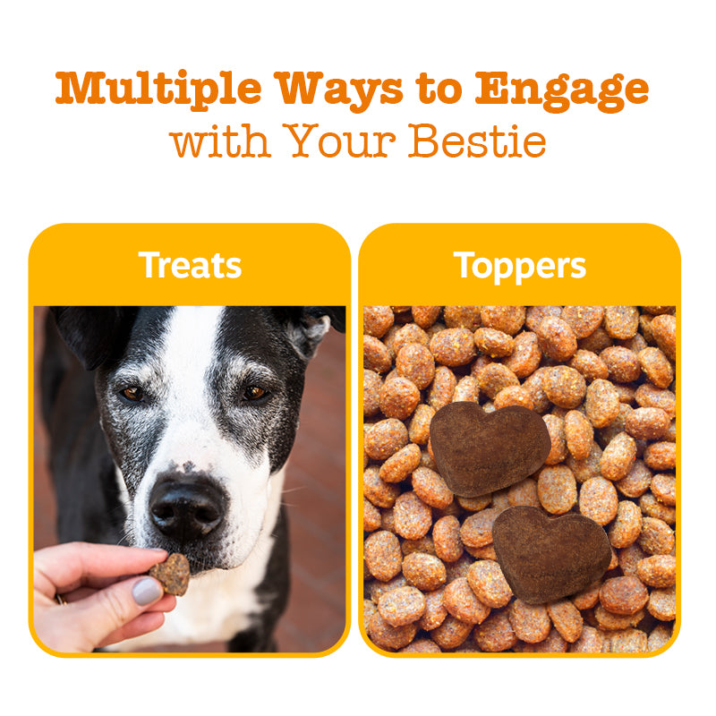10-in-1 Multivitamin Chews