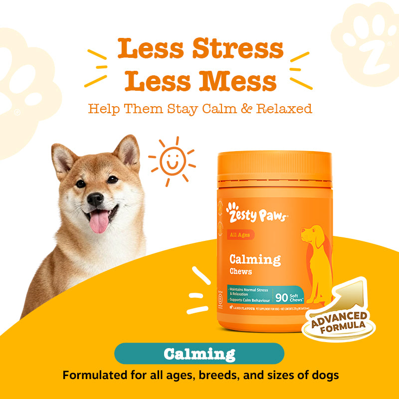 Calming Chews