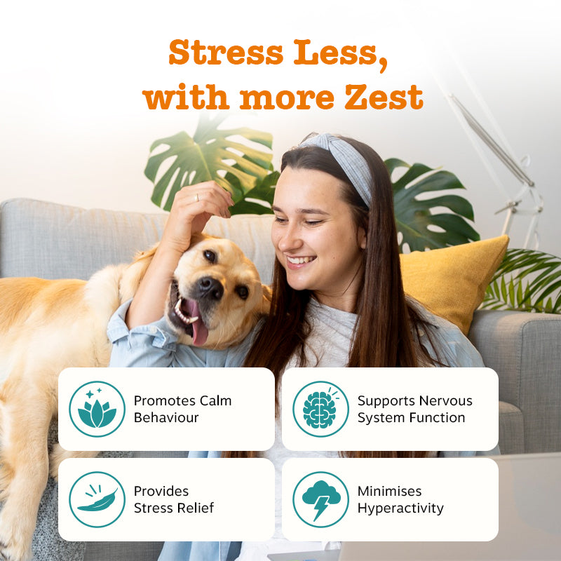 Calming Chews