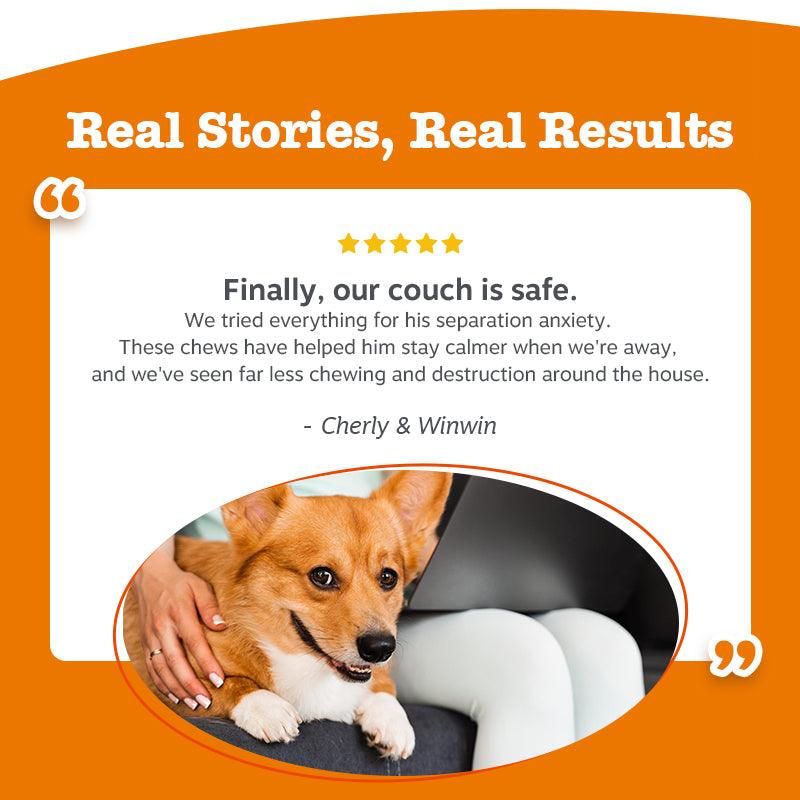 Calming Chews