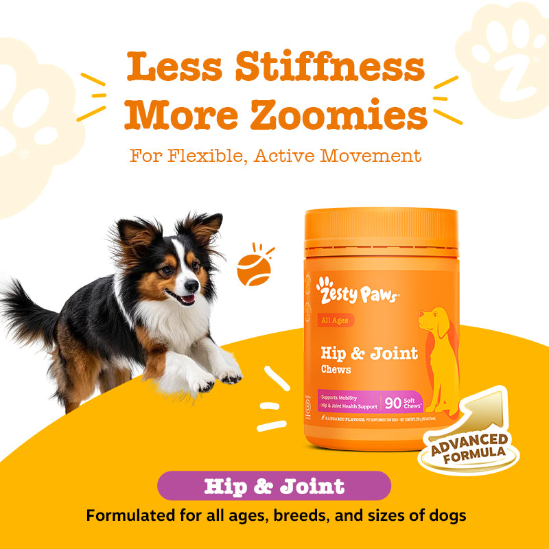 Hip & Joint Chews