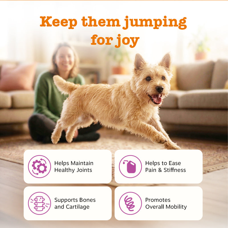 Advanced Joint Care Bundle