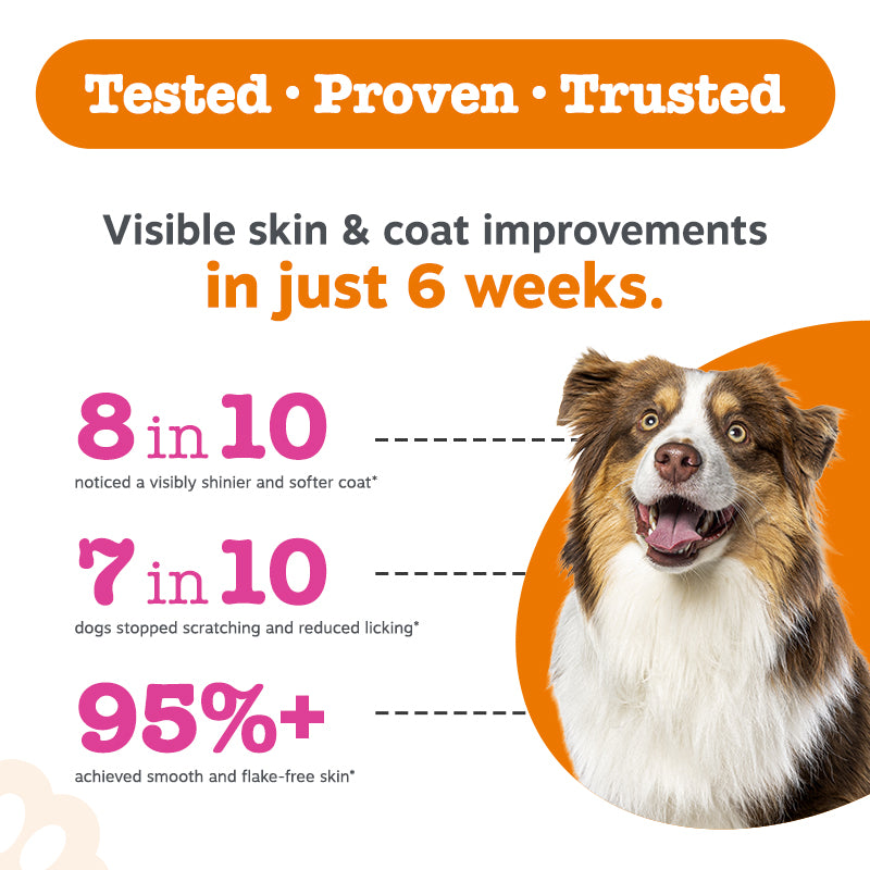 Omega Boost Salmon Oil Blend 250ML (3× more Salmon Oil)