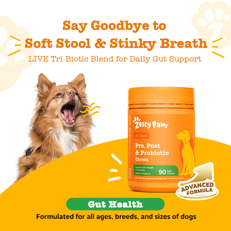 Pre, Post & Probiotic Chews