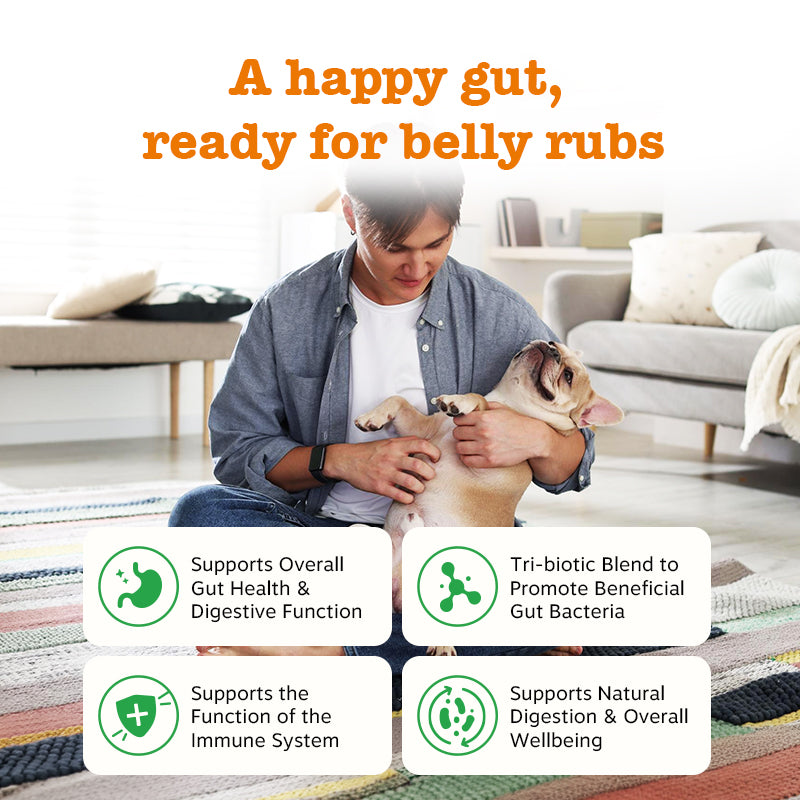 Advanced Gut Care Bundle