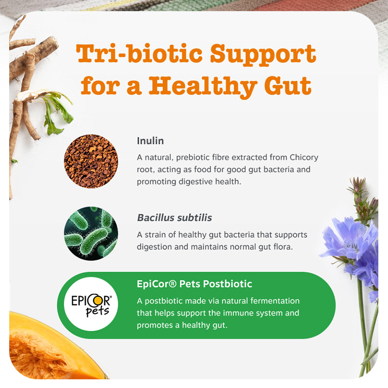 Pre, Post & Probiotic Chews