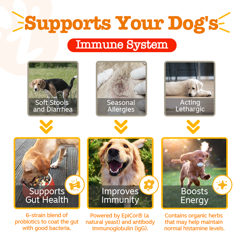 Season Of Care Bundle for Dogs