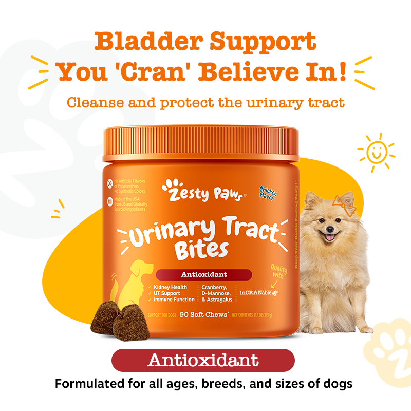 Zesty Paws Inside-out Bundle (Skin & Coat, Urinary Tract & Probiotic Bites 90ct)
