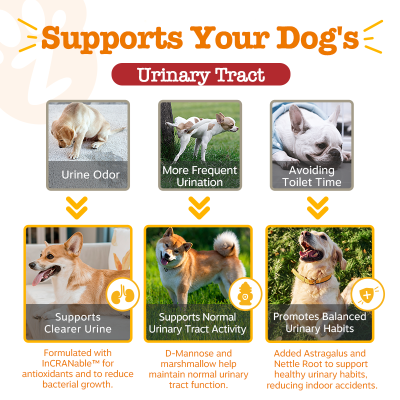 Zesty Paws Inside-out Bundle (Skin & Coat, Urinary Tract & Probiotic Bites 90ct)