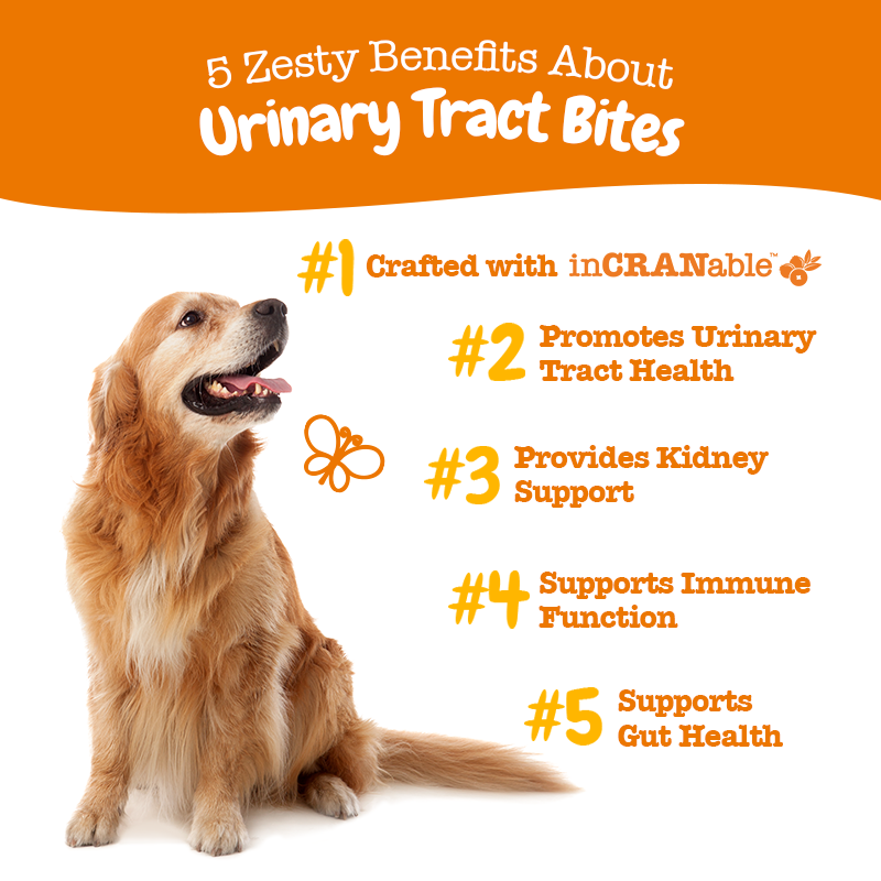Zesty Paws Inside-out Bundle (Skin & Coat, Urinary Tract & Probiotic Bites 90ct)